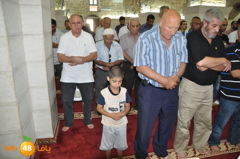 mohadaraa lud kaver 803 (17).JPG